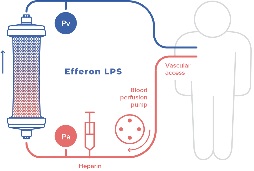 Efferon® LPS