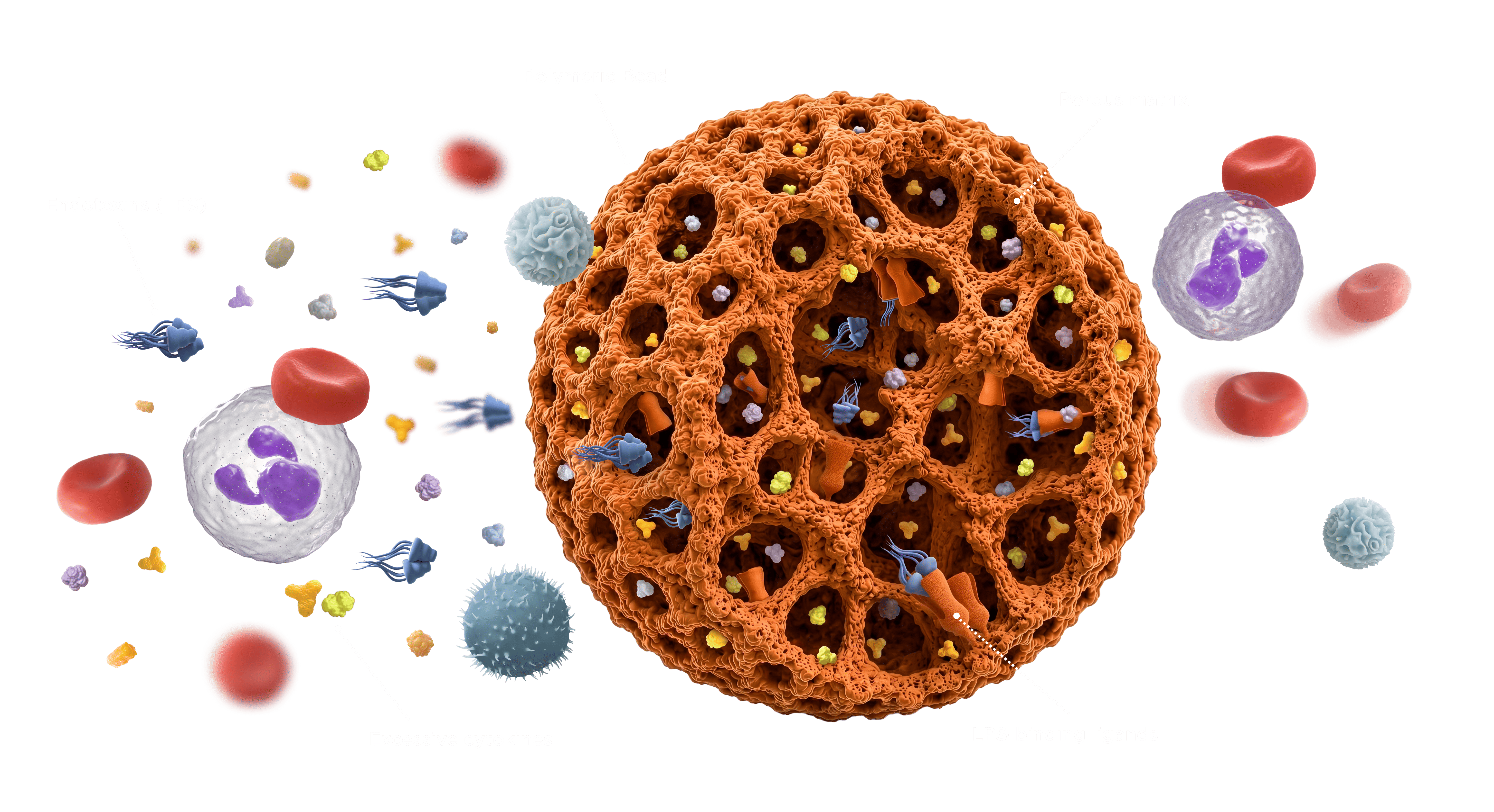 Efferon® LPS