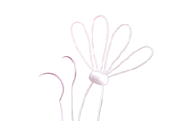 SERAMON Chordae Loops Mitral Kapak Tamir Sütürü